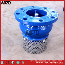 Cast Iron Ductile Iron Flanged Foot Valve